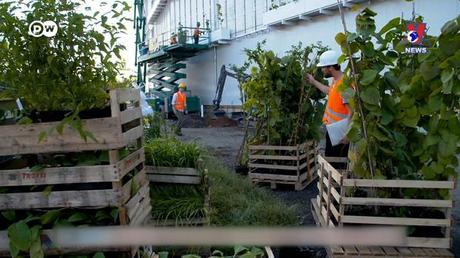 Tạp chí toàn cầu số 604