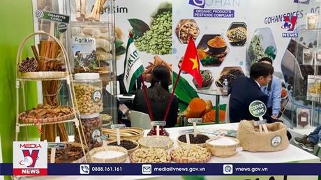 Bản tin thời sự 6h ngày 17/10/2022