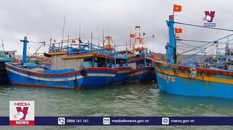 Chủ động ứng phó bão số 6