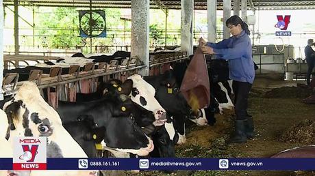 Sữa tươi, tổ yến cần giám sát vệ sinh khi sử dụng làm thực phẩm