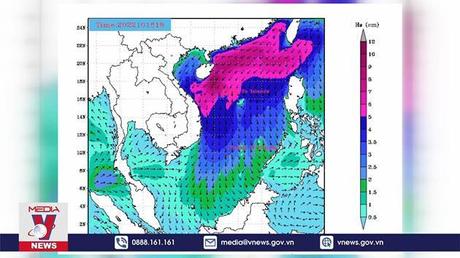 Cập nhật tin bão số 6 (Nesat)