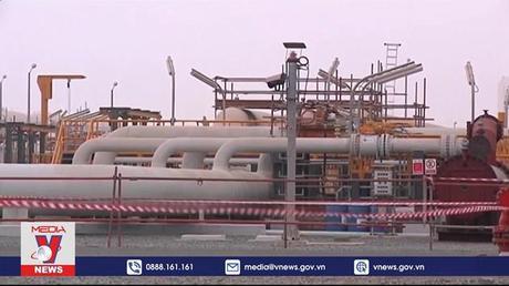 Các nước thành viên OPEC+ bảo vệ quyết định cắt giảm sản lượng