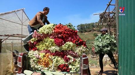 Nhật trình kinh tế ngày 19/10/2022