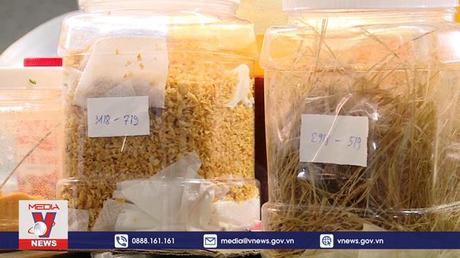 TPHCM phạt gần 10 tỷ vi phạm an toàn thực phẩm