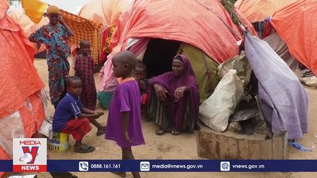 Biến đổi khí hậu ảnh hưởng nghiêm trọng tới hơn 1 tỉ trẻ em