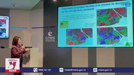 Nữ tiến sĩ Việt kiều Pháp « nặng lòng » với cây lúa ĐBSCL