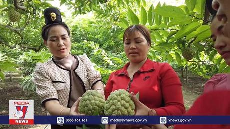 Nữ tỷ phú trên vùng đất khó Sơn La