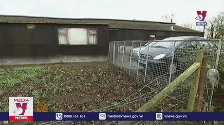 Hà Lan tiêu hủy thêm hàng trăm nghìn gia cầm