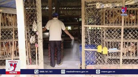 Xuất hiện ca cúm gia cầm trên người sau 8 năm