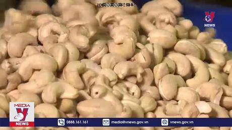 Bản tin thời sự 11h ngày 22/10/2022