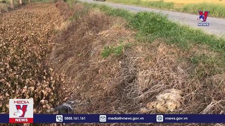 Bản tin Thời sự 06h ngày 22/10/2022