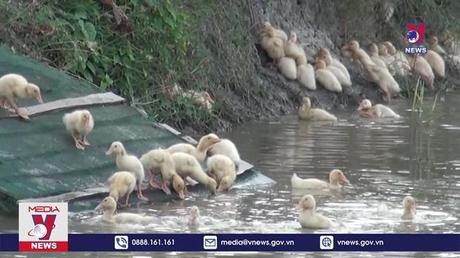 Bản tin Thời sự 11h ngày 23/10/2022
