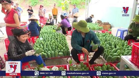Bản tin thời sự 22h ngày 22/10/2022