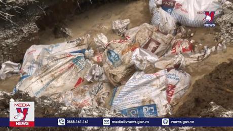 Hỗ trợ hộ chăn nuôi có lợn bị tiêu hủy