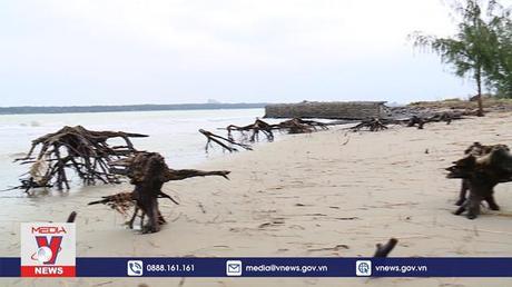 Sớm công bố tình huống khẩn cấp sạt lở, xâm thực bờ biển