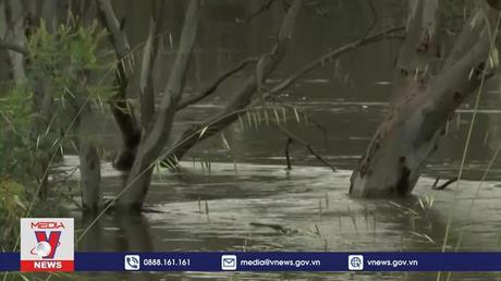 Khu vực miền Đông Australia báo động cao do lũ lụt