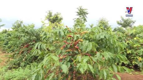 Bản tin Tiếng Anh ngày 25/10/2022