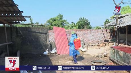 Phú Thọ giám sát chặt chẽ dịch bệnh trên đàn gia cầm