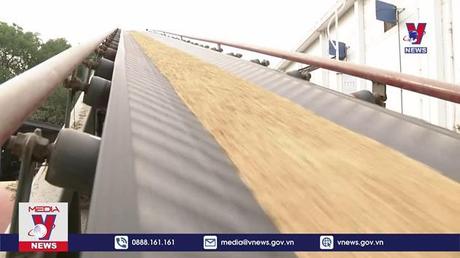 Bản tin Thời sự 8h ngày 26/10/2022