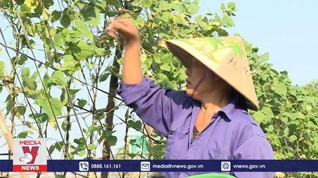 Khu dân cư thông minh kết nối sản xuất và tiêu thụ