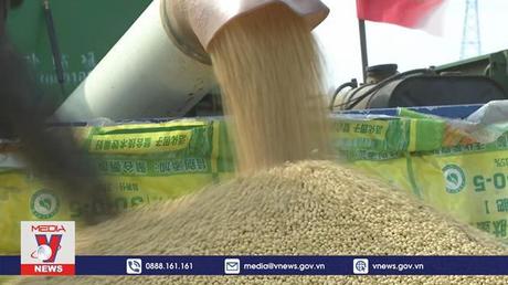 WTO kêu gọi cải cách quy định thương mại nông nghiệp