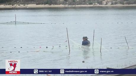 Quảng Ngãi dừng dự án điện mặt trời trên Đầm An Khê