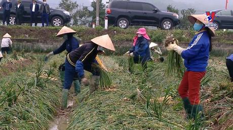 Nhật trình kinh tế ngày 27/10/2022