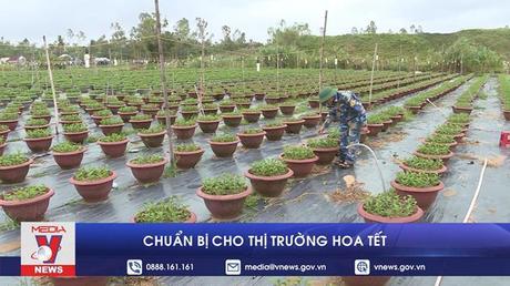 Nông dân Đà Nẵng chuẩn bị cho thị trường hoa tết