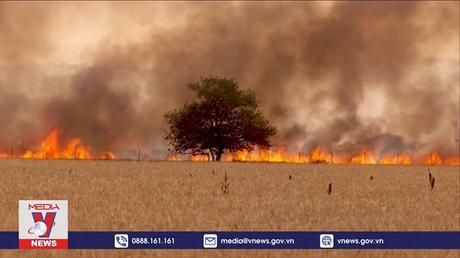 Nhiệt độ cao bất thường ở Tây Ban Nha