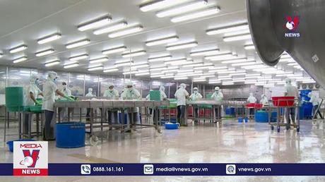 Xuất khẩu cá tra mang về hơn 2 tỷ USD