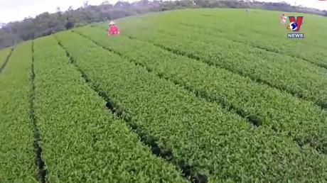 Học Bác mỗi ngày: Bác Hồ với dân tộc thiểu số