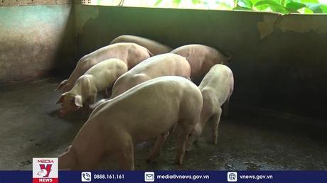 Giá thịt heo, gạo có thể tăng nhẹ những tháng cuối năm