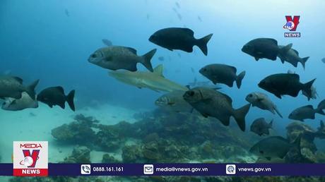 95% dân số thế giới chịu ảnh hưởng của biến đổi khí hậu 