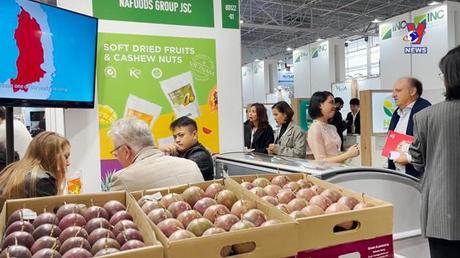 Bản tin tiếng Pháp ngày 31/10/2022