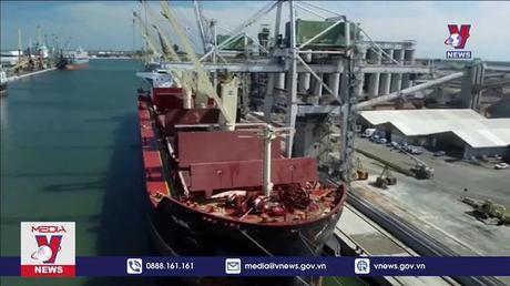 Nga dừng tham gia thỏa thuận xuất khẩu ngũ cốc