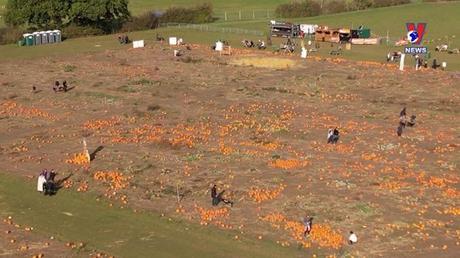 Đời sống toàn cầu ngày 30/10/2022