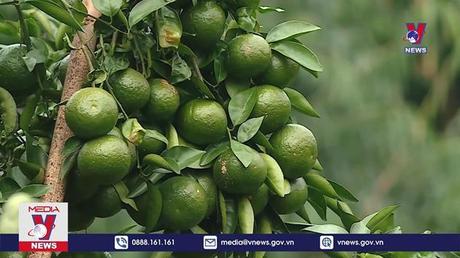 Bản tin thời sự 8h ngày 30/10/2022