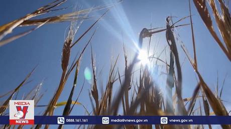 Cảnh báo khí hậu Trái đất đang ở mức cực đoan kỷ lục