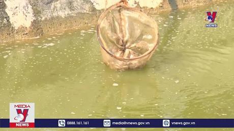 Ninh Bình hỗ trợ đưa nông sản lên sàn thương mại điện tử