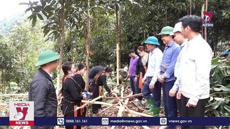 Bản tin thời sự 08h ngày 31/10/2022