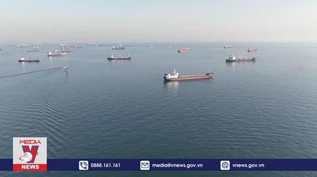 Tiếp tục hoạt động xuất khẩu ngũ cốc qua Biển Đen