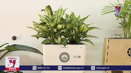 Xu hướng khởi nghiệp Xanh tại Việt Nam