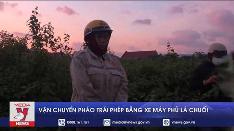 Vận chuyển pháo trái phép bằng xe máy phủ lá chuối