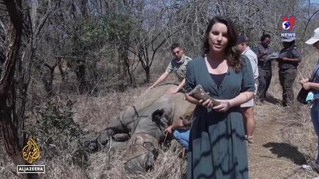 Đường dây nóng 389 ngày 02/11/2022