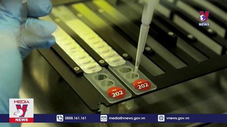 WHO duy trì tình trạng khẩn toàn cầu về bệnh đậu mùa khỉ