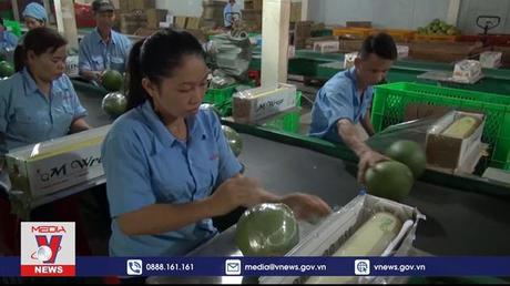 Năm 2025 xuất khẩu trái cây sẽ đạt trên 5 tỷ USD