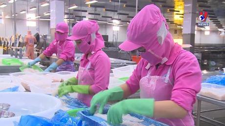 Bản tin tiếng Trung ngày 02/11/2022