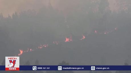 Cảnh báo về tình trạng ấm lên tại châu Âu