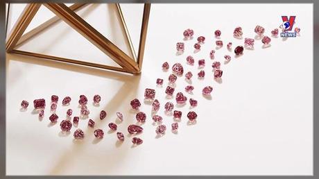 Khoảnh khắc & sự kiện 03/11/2022