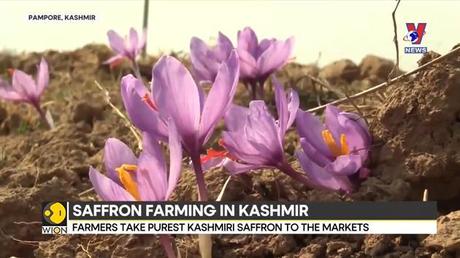 Nhật trình kinh tế ngày 3/11/2022